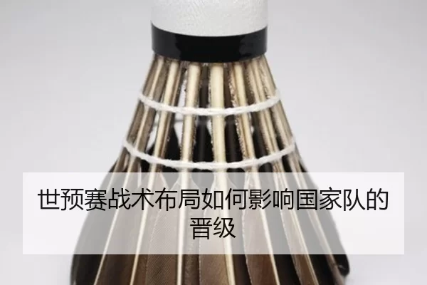 世预赛战术布局如何影响国家队的晋级